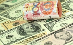 南河小仙女是什么梗